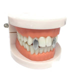 Vampire Fang Tooth Cap Set